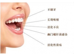 �п��������� ��������������Ʒ���