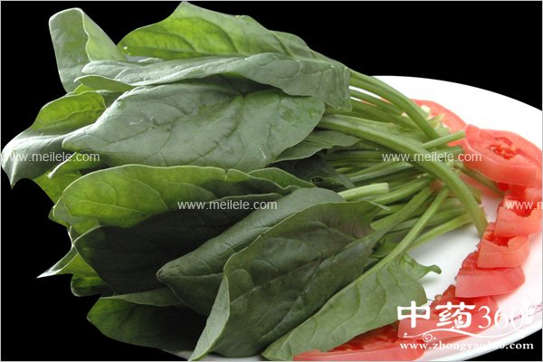 shiziheshenmebunengyiqichi