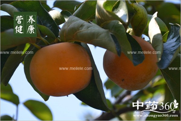 shiziheshenmebunengyiqichi