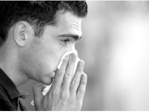 �����Ա�����ô�� �������ɰ��ѱ������������