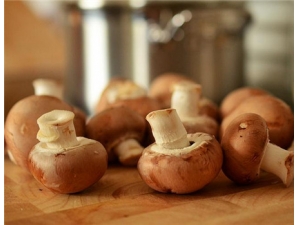 ƽ���Ĺ�Ч������ �����������ú�