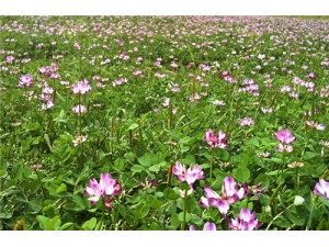 ���β��ܺ�ʲôһ��� �Ի��εĽ���