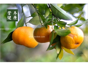 �����ϻ��� �Խ��ӵ�����Ч����