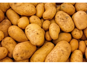 ������ȫ�۵Ĺ�Ч������ ������ȫ�۵���;