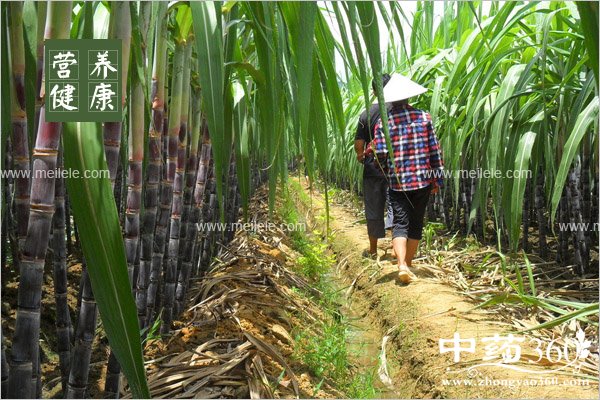 ganzhedegongxiaoyuzuoyong