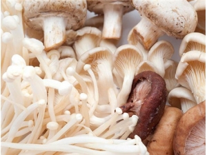 ԪĢ�Ĺ�Ч������ �澭�������ú�