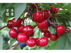 ӣҵĺôͻ ӣҵӪֵ⣡