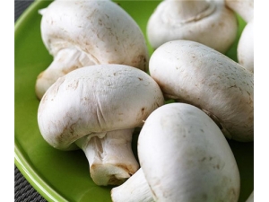 ��Ģ�Ĺ�Ч������ ��������������