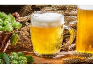 ���ճ�������ơ�� ���ò������������˺�