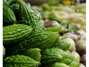 ����ѿ�Ĺ�Ч������ ���Ʊ���Ч����