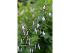 ɳ�εĹ�Ч ���ֹ����������