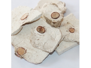 ��������������� ���������������ǵ�����