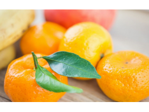 �¾�����Щˮ�����ܳ� ��֪����