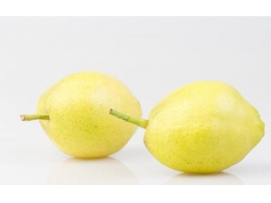 �������˽����̲���ʳ�� ��֪����