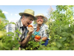 �ճ������ķ��� �Ͻ��ղذ�