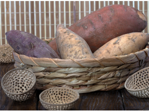 �����ܼ����� ����������Щ���벻���Ĺ�Ч