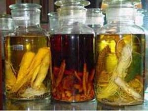 ��ҩ��֥�Ĺ�Ч���� ��֥��ҩ���鷽