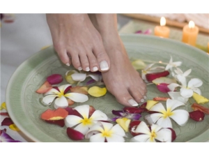 Ϊʲô˵ݽܹβ ݽƸѪ֬