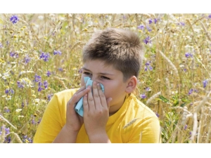 ��Ч���Ʊ��׵�ƫ���Ƽ� ��Ħ�ۿ���α���