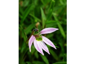 �����������ô�� ����֢����Щ