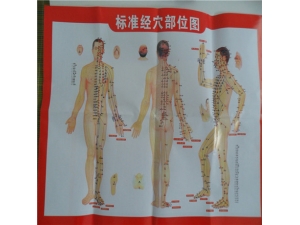 ����ͨ����Ľ��� ������������ר�ҵĽ���