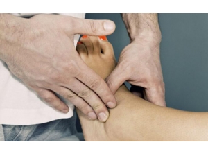 �﷦Ӧ����λ��� С�����֧��