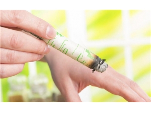 ��ҽ��Щ�����ܹ������� ��ҽ���ݿ�����