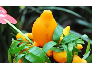 �ƽ���Ĺ�Ч������ �ƽ��Ӧ��ô��