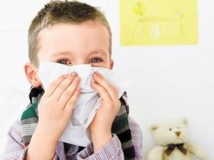 ����������� �����η��ȿ�����