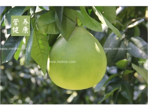 ���ӵ�Ӫ����ֵ����Щ ���ӵ��������