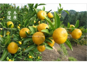 �Խ��ӵĺô�����Щ ���ӵĹ�Ч�����ã�