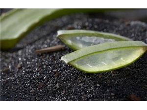 «�������Ե�˯����Ĥ���� «������Ĥ������