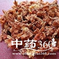 �޺�����