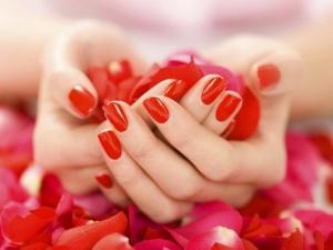 ֽͬһƿָʲô ʹòõָΣ