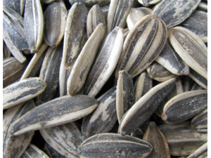 �����ѵĹ�Ч������ ��˥�����������