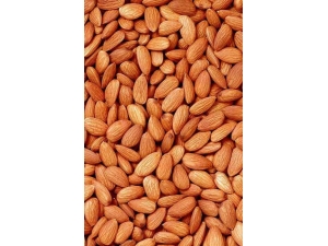 �͵�ľ�����ʵ����� �ɴӲ��غ͹�Ч�������