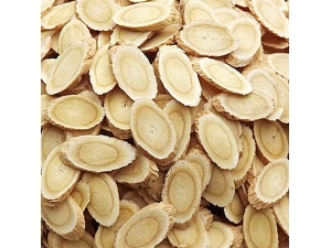 �����뱱�ε�����