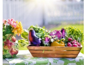 �󳲲˵Ĺ�Ч������ ��Ѫ����������