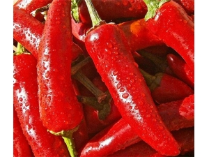 �����Ĺ�Ч������ ��θ��ʳ�η�ʪ