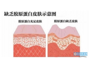 ע�佺ԭ���׾�����ʲô���Ĺ�Ч��