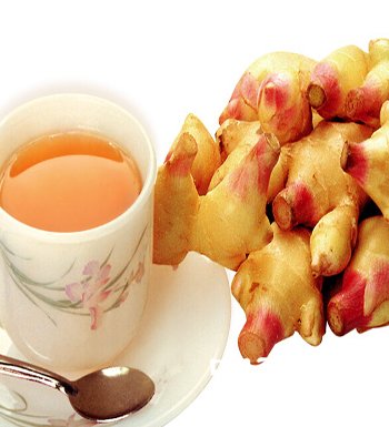 ���������������  ���������������ط�