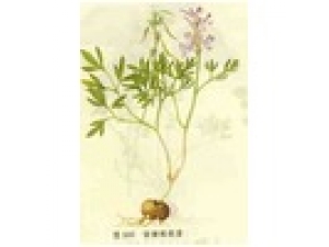 �ݰ��Ӻ���