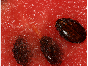 �����ӵĹ�Ч������ ��θͨ��ֹ�Ȼ�̵