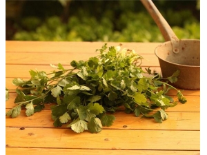 �����Ĺ�Ч������ �������Ⱥô���