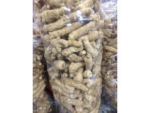 ����ηۺ����߷�һ��� ����Щ��������;