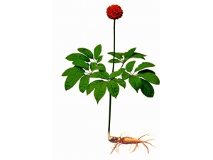 ������� ���߷�����Щ��Ч��