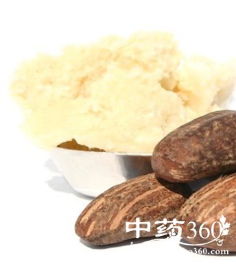 神奇特效的乳木果油 乳木果油的美容功效