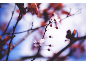 �컨������ �컨��ˮ��Ҳ�н���