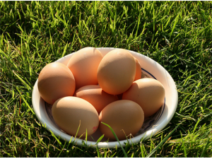 �������Ĺ�Ч������ ��������ô����