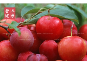 ���ӵĹ�Ч�����ü�ʳ�÷���